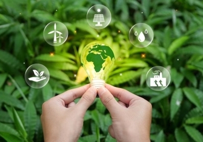 📘 Educational Resources & Eco Guides service image